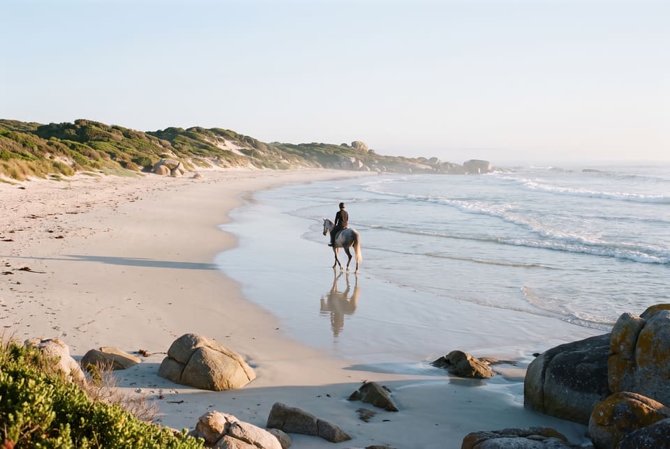 A rider on a grey horse walking along the wet sand of an empty beach at low tide, fynbos dunes and granite behind
